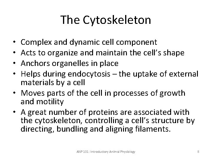 The Cytoskeleton Complex and dynamic cell component Acts to organize and maintain the cell’s