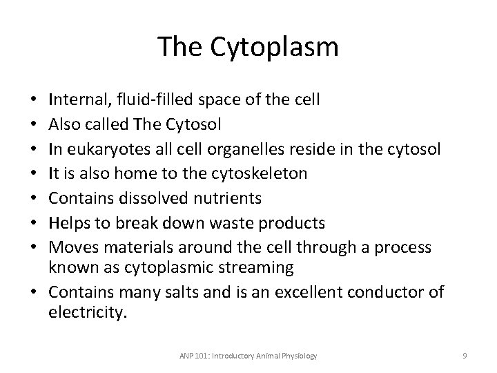 The Cytoplasm Internal, fluid-filled space of the cell Also called The Cytosol In eukaryotes