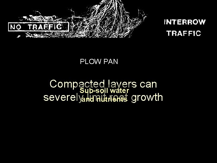 PLOW PAN Compacted layers can Sub-soil water severelyand limit root growth nutrients Brady and
