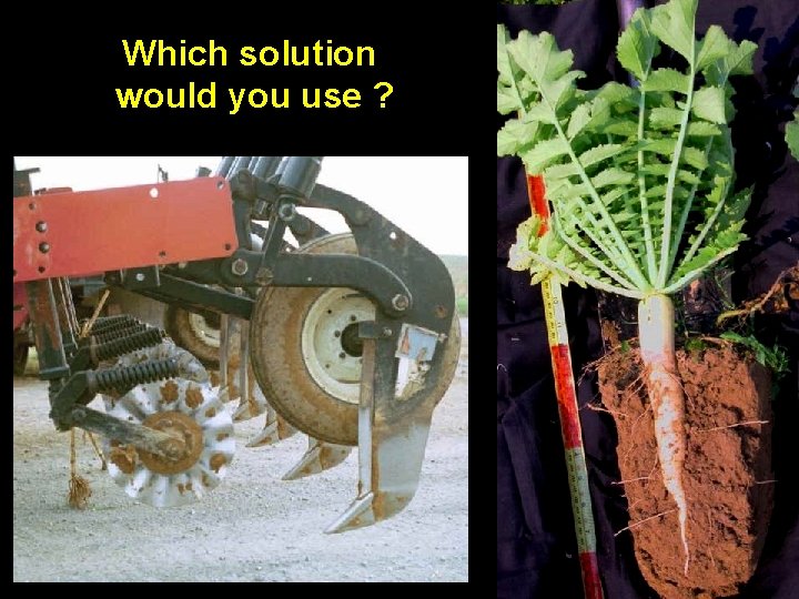 Which solution would you use ? 