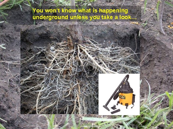 You won’t know what is happening underground unless you take a look… 