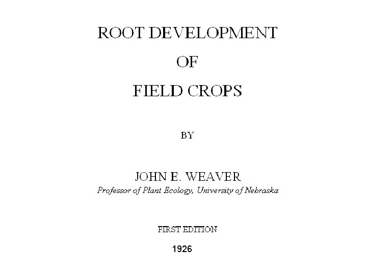 1926 