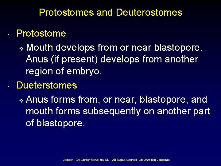 Protostomes and Deuterostomes • • Protostome v Mouth develops from or near blastopore. Anus Protostomes and Deuterostomes • • Protostome v Mouth develops from or near blastopore. Anus