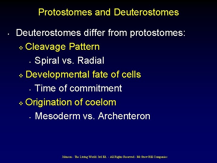 Protostomes and Deuterostomes • Deuterostomes differ from protostomes: v Cleavage Pattern - Spiral vs. Protostomes and Deuterostomes • Deuterostomes differ from protostomes: v Cleavage Pattern - Spiral vs.