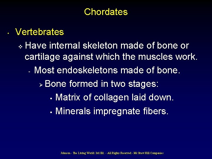 Chordates • Vertebrates v Have internal skeleton made of bone or cartilage against which Chordates • Vertebrates v Have internal skeleton made of bone or cartilage against which