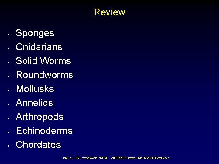 Review • • • Sponges Cnidarians Solid Worms Roundworms Mollusks Annelids Arthropods Echinoderms Chordates Review • • • Sponges Cnidarians Solid Worms Roundworms Mollusks Annelids Arthropods Echinoderms Chordates