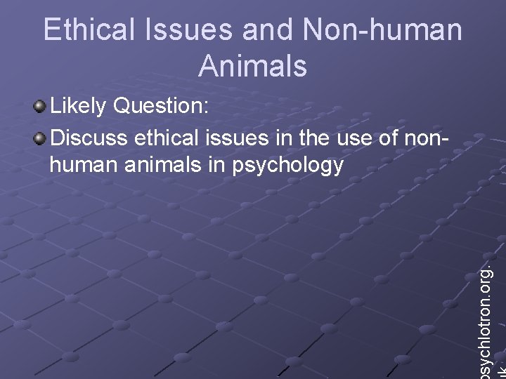 Ethical Issues and Non-human Animals sychlotron. org. Likely Question: Discuss ethical issues in the