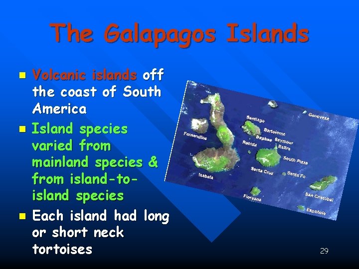 The Galapagos Islands n n n Volcanic islands off the coast of South America