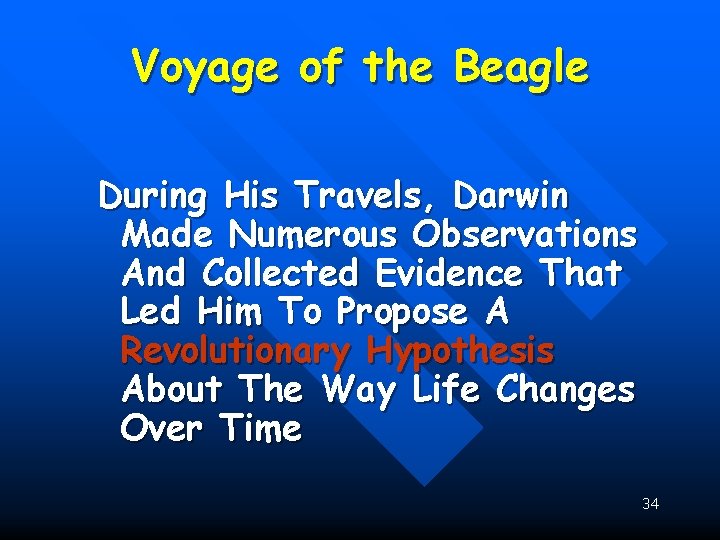 Voyage of the Beagle During His Travels, Darwin Made Numerous Observations And Collected Evidence
