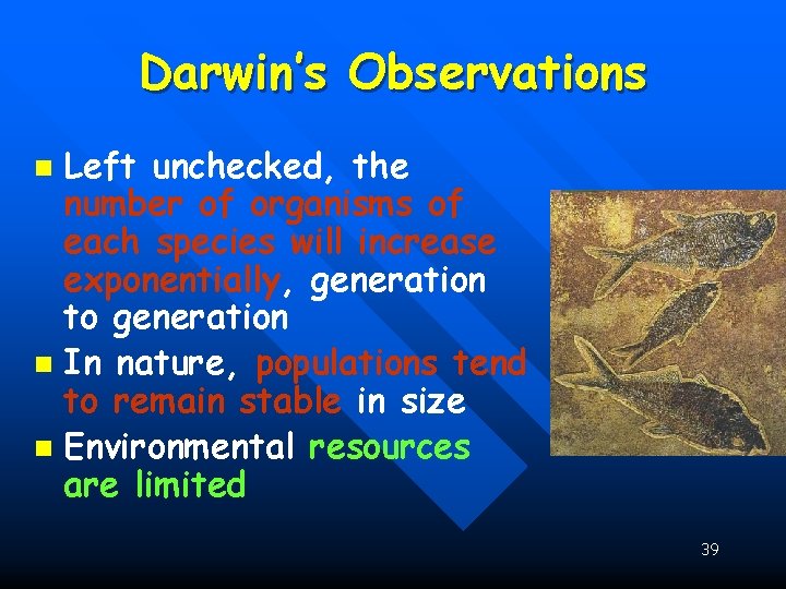Darwin’s Observations Left unchecked, the number of organisms of each species will increase exponentially,