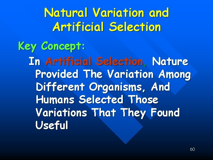 Natural Variation and Artificial Selection Key Concept: In Artificial Selection, Nature Provided The Variation