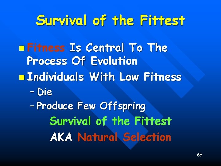 Survival of the Fittest n Fitness Is Central To The Process Of Evolution n