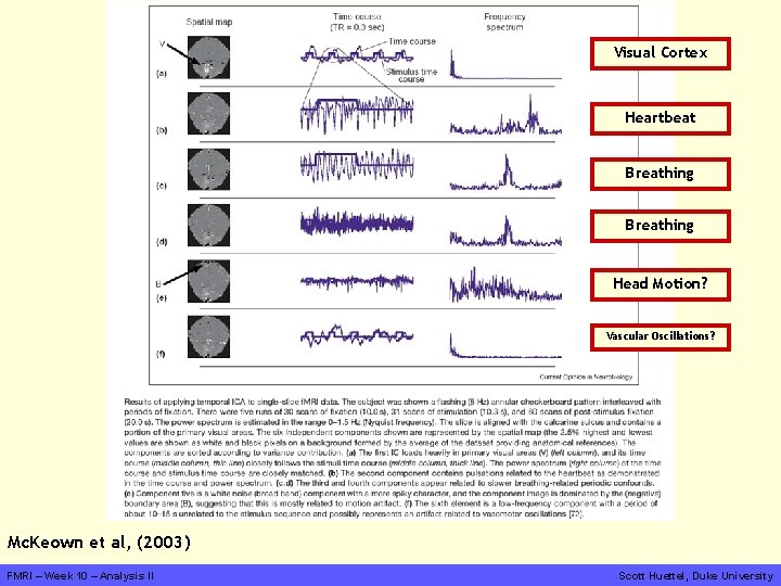 Visual Cortex Heartbeat Breathing Head Motion? Vascular Oscillations? Mc. Keown et al, (2003) FMRI