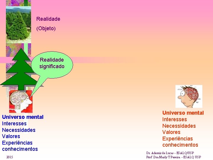 Realidade (Objeto) Realidade significado Universo mental Interesses Necessidades Valores Experiências conhecimentos 2015 Universo mental