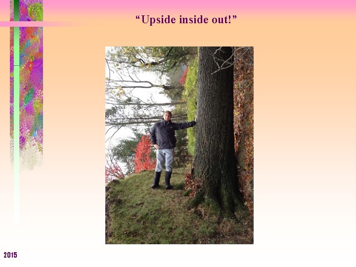 “Upside inside out!” 2015 