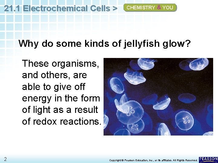 21. 1 Electrochemical Cells > CHEMISTRY & YOU Why do some kinds of jellyfish