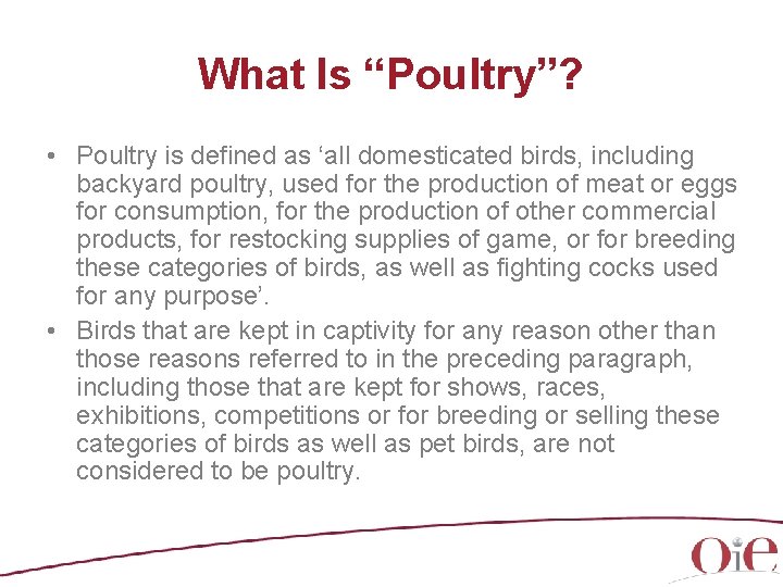 What Is “Poultry”? • Poultry is defined as ‘all domesticated birds, including backyard poultry,