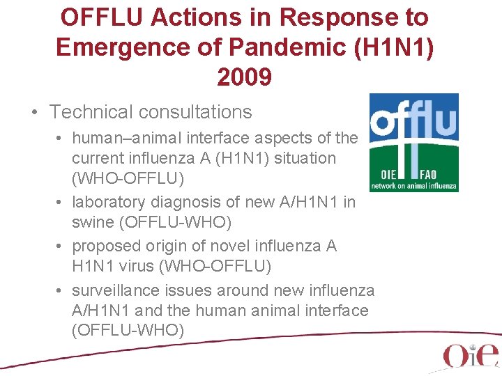 OFFLU Actions in Response to Emergence of Pandemic (H 1 N 1) 2009 •