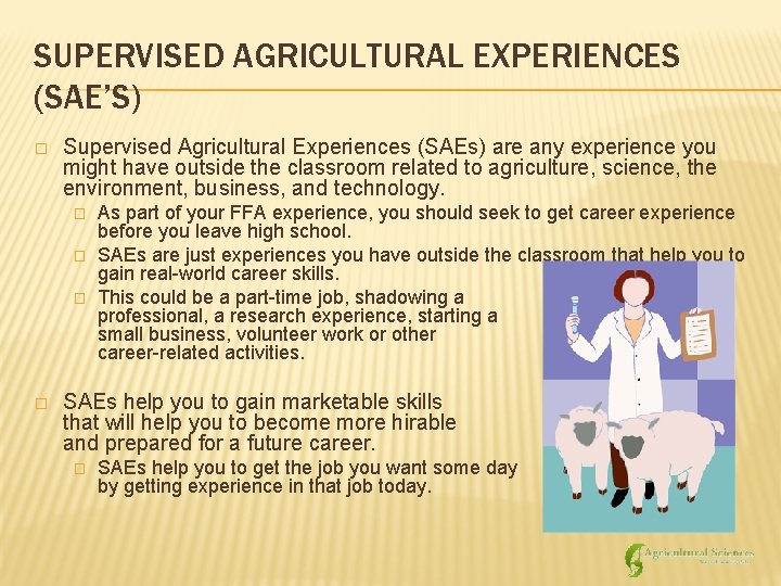 SUPERVISED AGRICULTURAL EXPERIENCES (SAE’S) � Supervised Agricultural Experiences (SAEs) are any experience you might