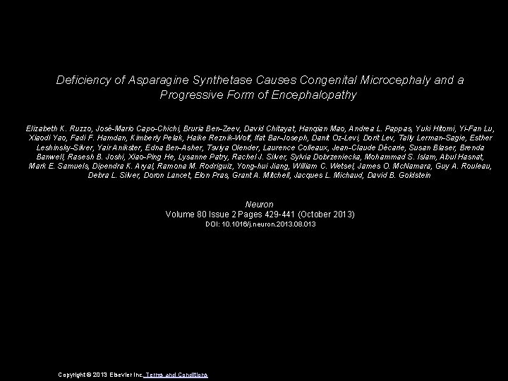 Deficiency of Asparagine Synthetase Causes Congenital Microcephaly and a Progressive Form of Encephalopathy Elizabeth