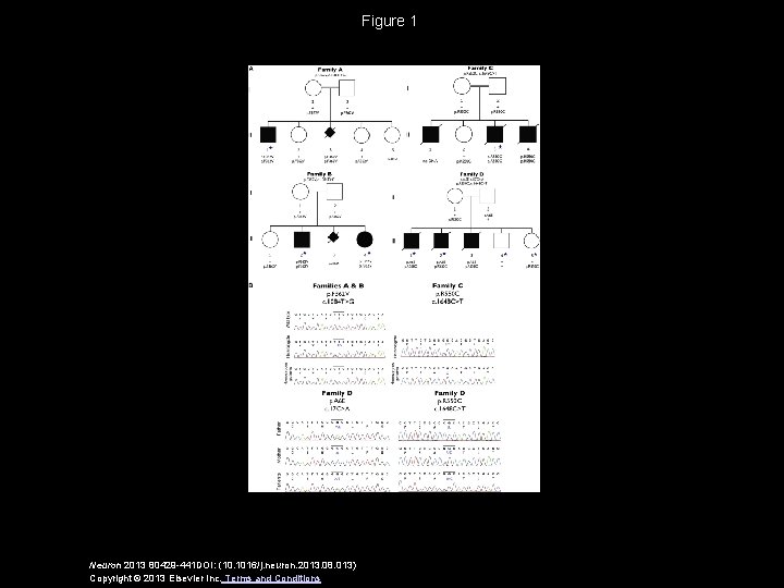 Figure 1 Neuron 2013 80429 -441 DOI: (10. 1016/j. neuron. 2013. 08. 013) Copyright