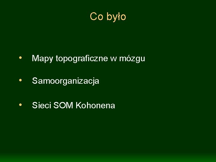 Co było • Mapy topograficzne w mózgu • Samoorganizacja • Sieci SOM Kohonena 