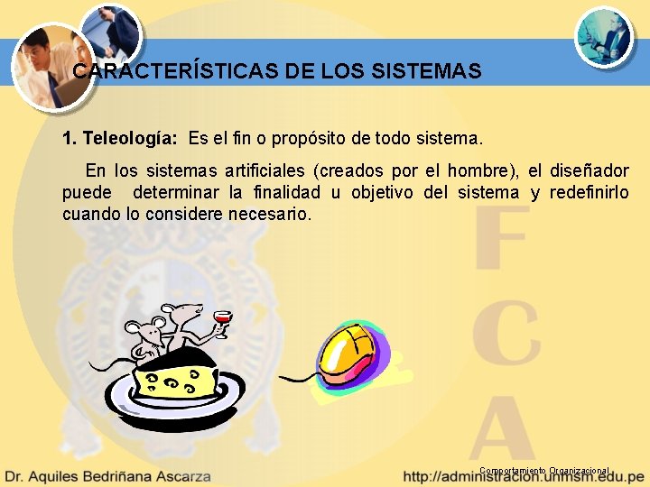 CARACTERÍSTICAS DE LOS SISTEMAS 1. Teleología: Es el fin o propósito de todo sistema.