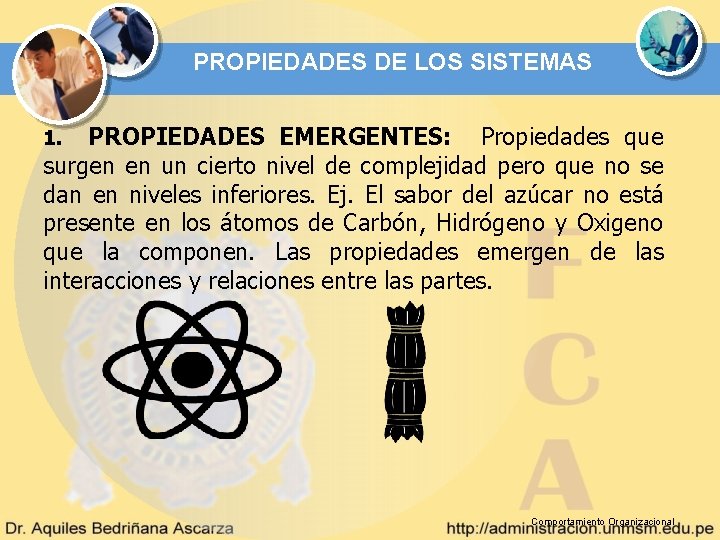 PROPIEDADES DE LOS SISTEMAS PROPIEDADES EMERGENTES: Propiedades que surgen en un cierto nivel de