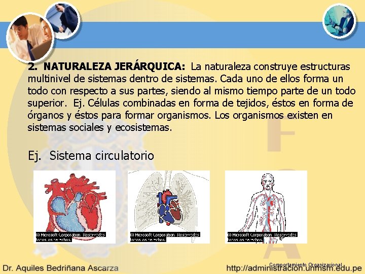 2. NATURALEZA JERÁRQUICA: La naturaleza construye estructuras multinivel de sistemas dentro de sistemas. Cada