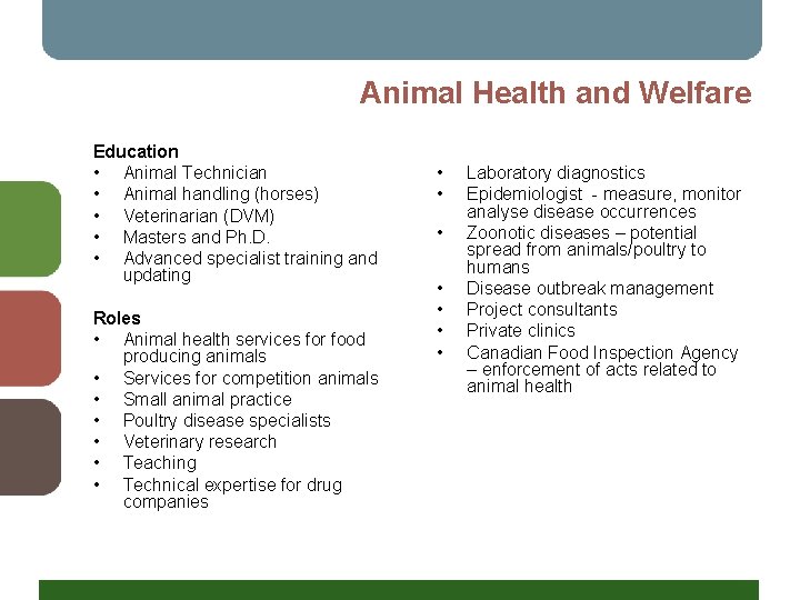 Animal Health and Welfare Education • Animal Technician • Animal handling (horses) • Veterinarian