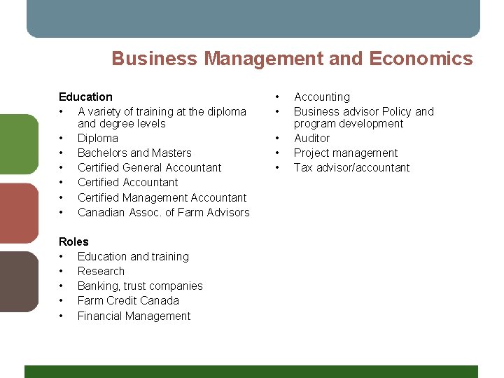 Business Management and Economics Education • A variety of training at the diploma and