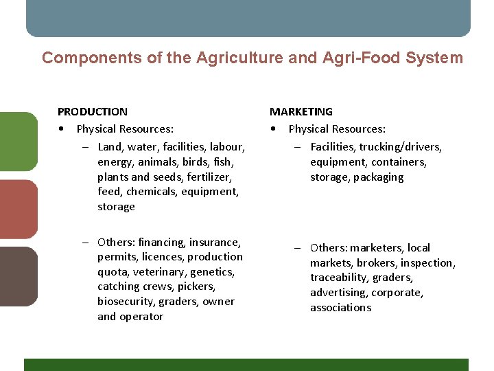 Components of the Agriculture and Agri-Food System PRODUCTION • Physical Resources: – Land, water,