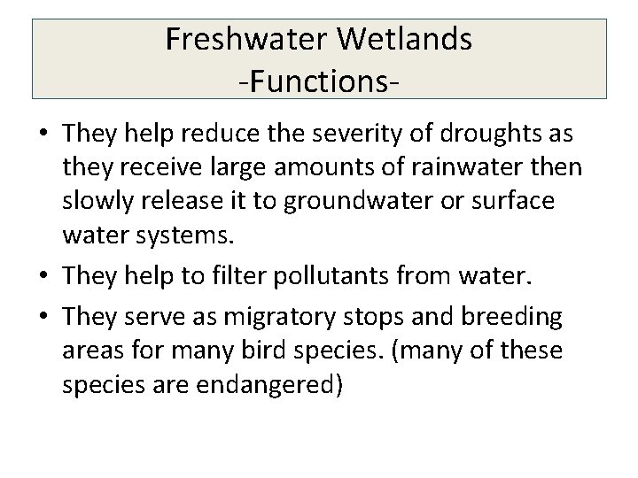 Freshwater Wetlands -Functions • They help reduce the severity of droughts as they receive