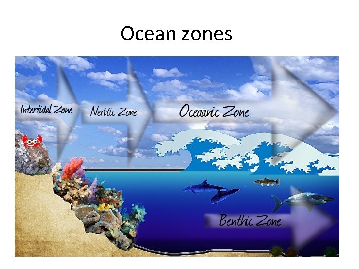 Ocean zones 