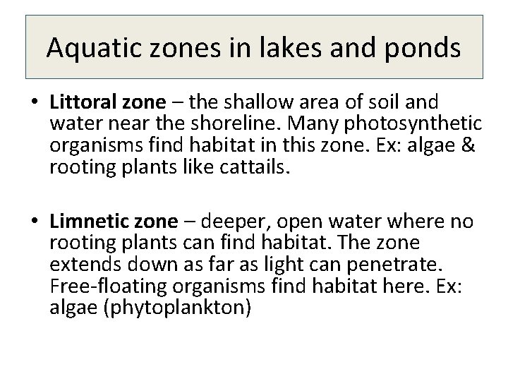 Aquatic zones in lakes and ponds • Littoral zone – the shallow area of