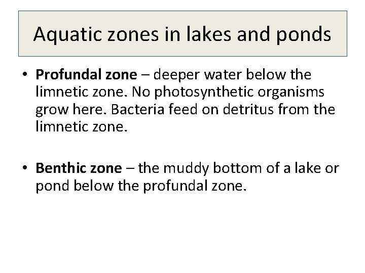 Aquatic zones in lakes and ponds • Profundal zone – deeper water below the