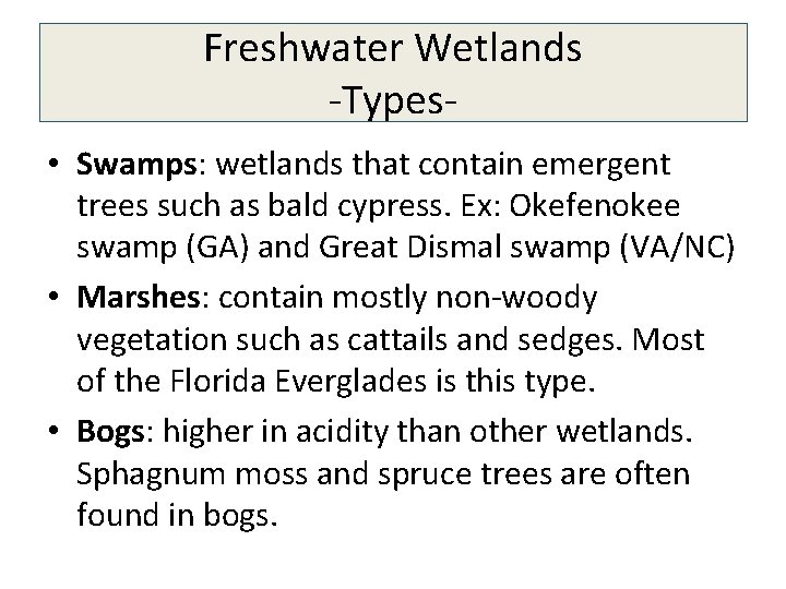 Freshwater Wetlands -Types • Swamps: wetlands that contain emergent trees such as bald cypress.