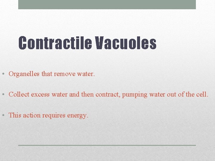 Contractile Vacuoles • Organelles that remove water. • Collect excess water and then contract,