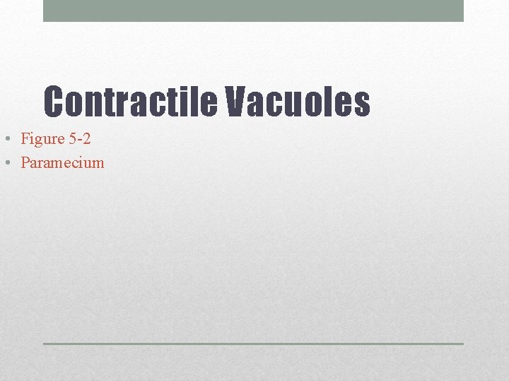 Contractile Vacuoles • Figure 5 -2 • Paramecium 