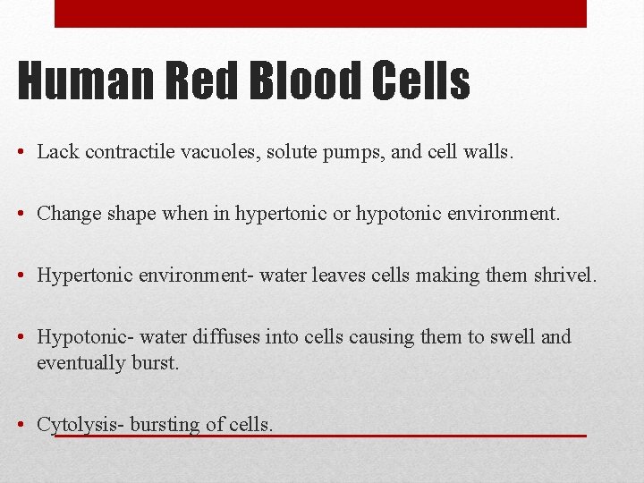 Human Red Blood Cells • Lack contractile vacuoles, solute pumps, and cell walls. •