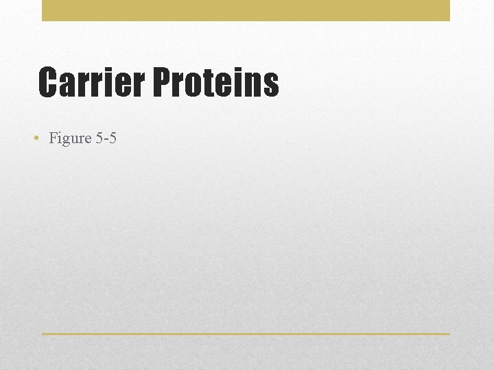 Carrier Proteins • Figure 5 -5 