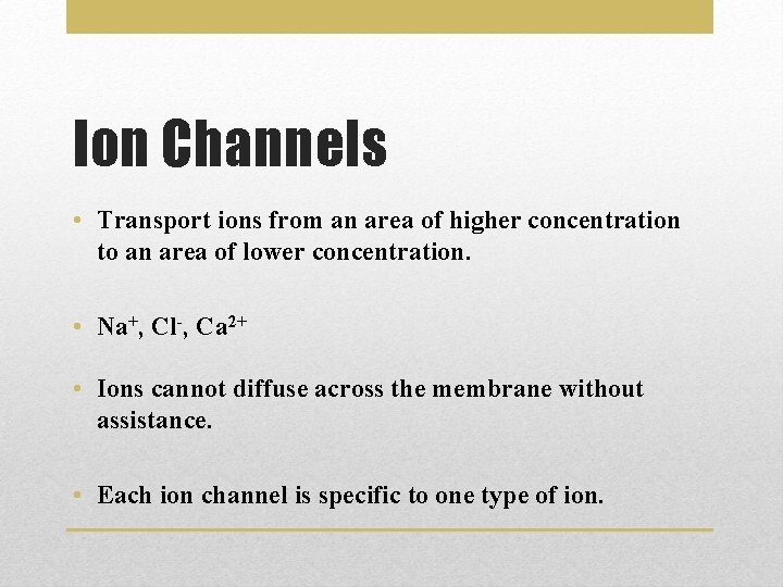 Ion Channels • Transport ions from an area of higher concentration to an area