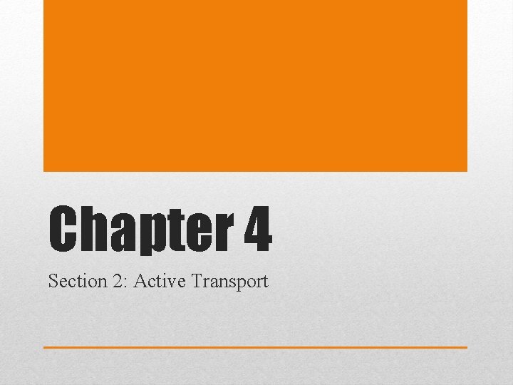 Chapter 4 Section 2: Active Transport 