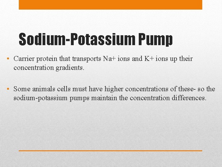 Sodium-Potassium Pump • Carrier protein that transports Na+ ions and K+ ions up their
