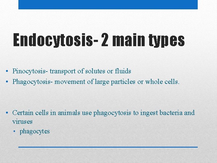 Endocytosis- 2 main types • Pinocytosis- transport of solutes or fluids • Phagocytosis- movement