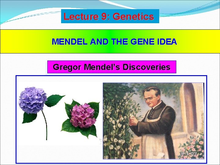 Lecture 9: Genetics MENDEL AND THE GENE IDEA Gregor Mendel’s Discoveries Lecture 9: Genetics MENDEL AND THE GENE IDEA Gregor Mendel’s Discoveries