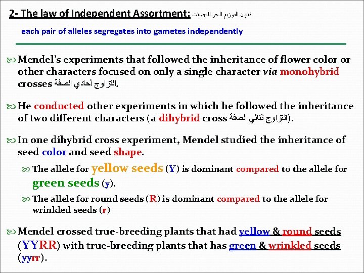 2 - The law of Independent Assortment: ﻗﺎﻧﻮﻥ ﺍﻟﺘﻮﺯﻳﻊ ﺍﻟﺤﺮ ﻟﻠـﭽـﻴﻨﺎﺕ each pair of 2 - The law of Independent Assortment: ﻗﺎﻧﻮﻥ ﺍﻟﺘﻮﺯﻳﻊ ﺍﻟﺤﺮ ﻟﻠـﭽـﻴﻨﺎﺕ each pair of