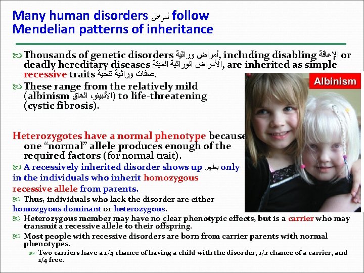 Many human disorders ﺃﻤﺮﺍﺽ follow Mendelian patterns of inheritance Thousands of genetic disorders ﺃﻤﺮﺍﺽ