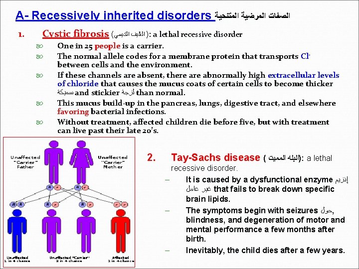 A- Recessively inherited disorders ﺍﻟﺼﻔﺎﺕ ﺍﻟﻤﺮﺿﻴﺔ ﺍﻟﻤﺘﻨﺤﻴﺔ 1. Cystic fibrosis ( ) ﺍﻟﺘﻠﻴﻒ ﺍﻟﻜﻴﺴﻲ