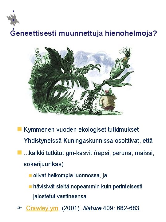 Geneettisesti muunnettuja hienohelmoja? n Kymmenen vuoden ekologiset tutkimukset Yhdistyneissä Kuningaskunnissa osoittivat, että n. .